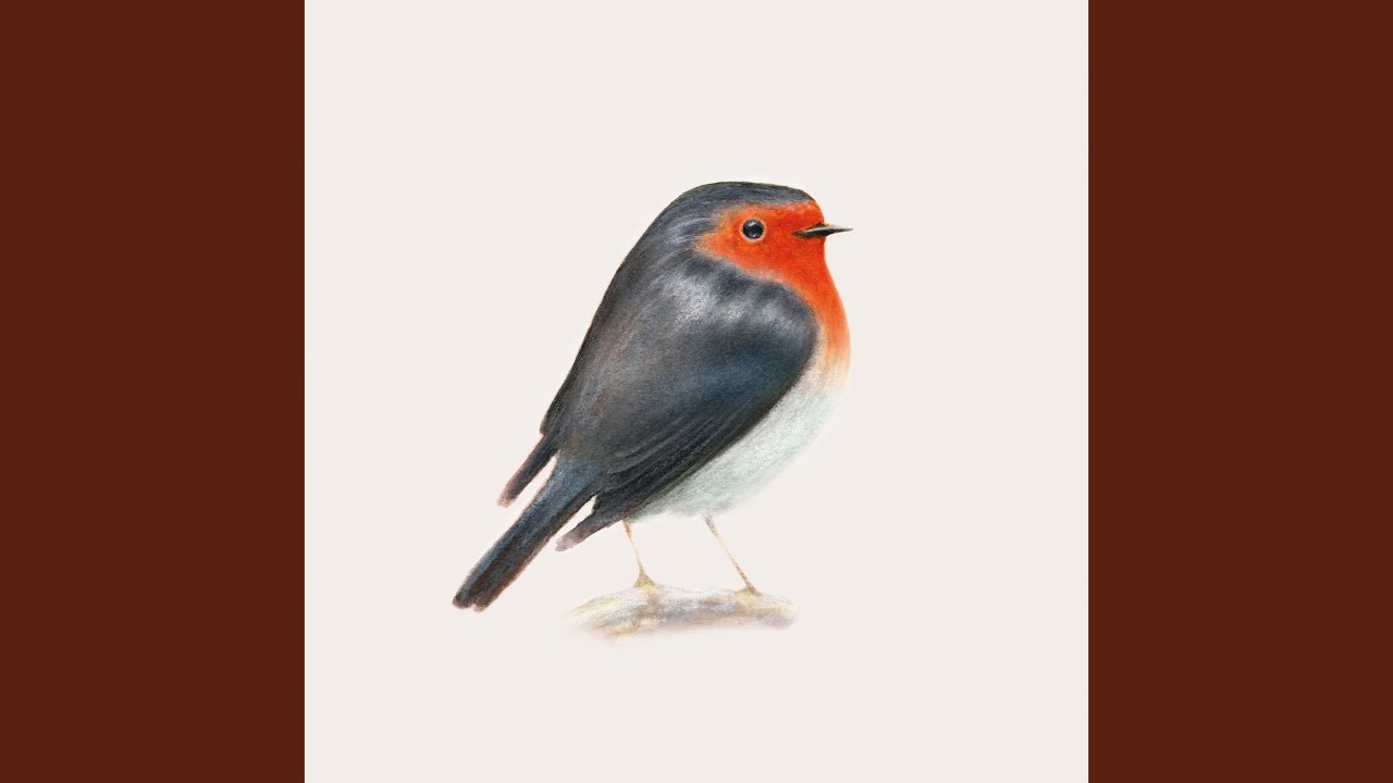 Quelli che arriveranno