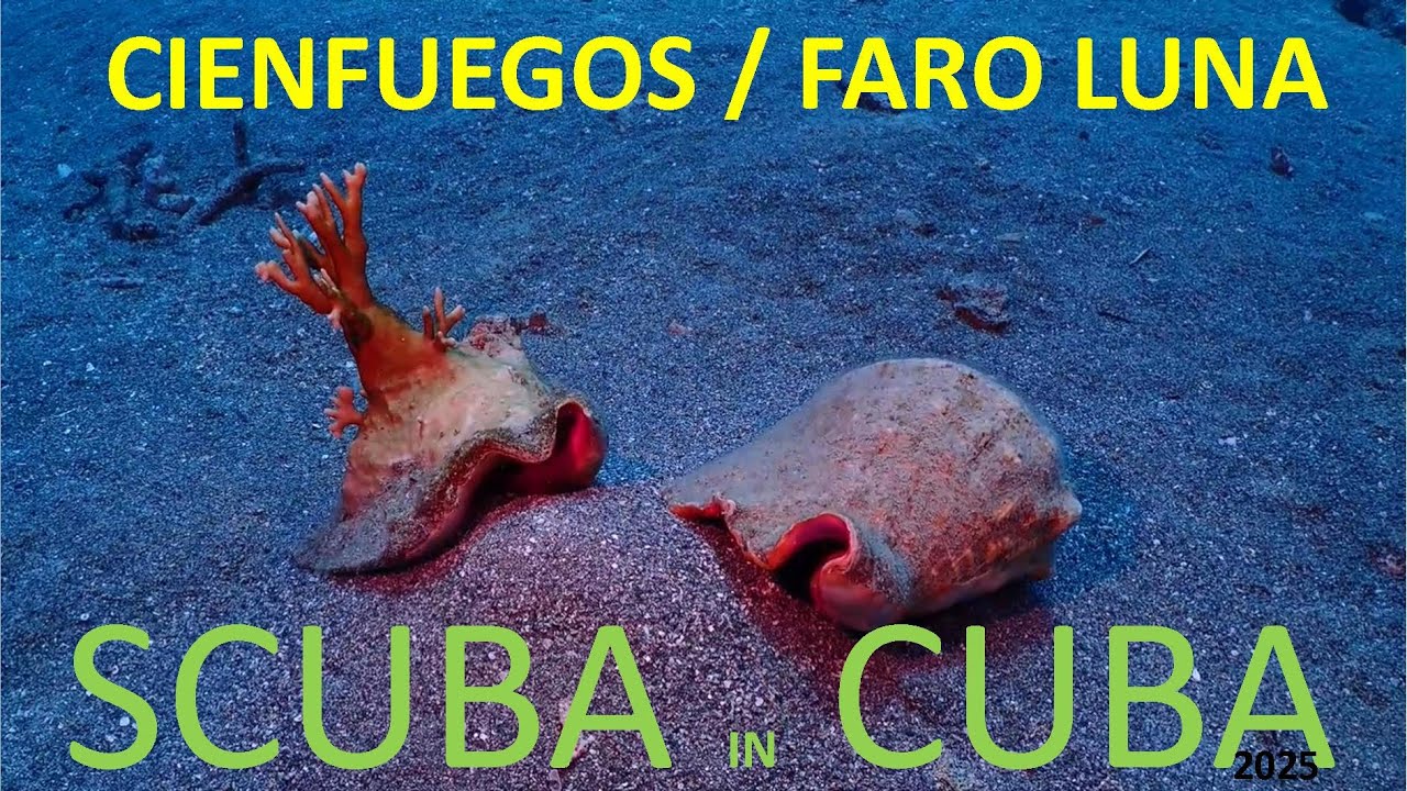 SCUBA IN CUBA FARO LUNA 2025