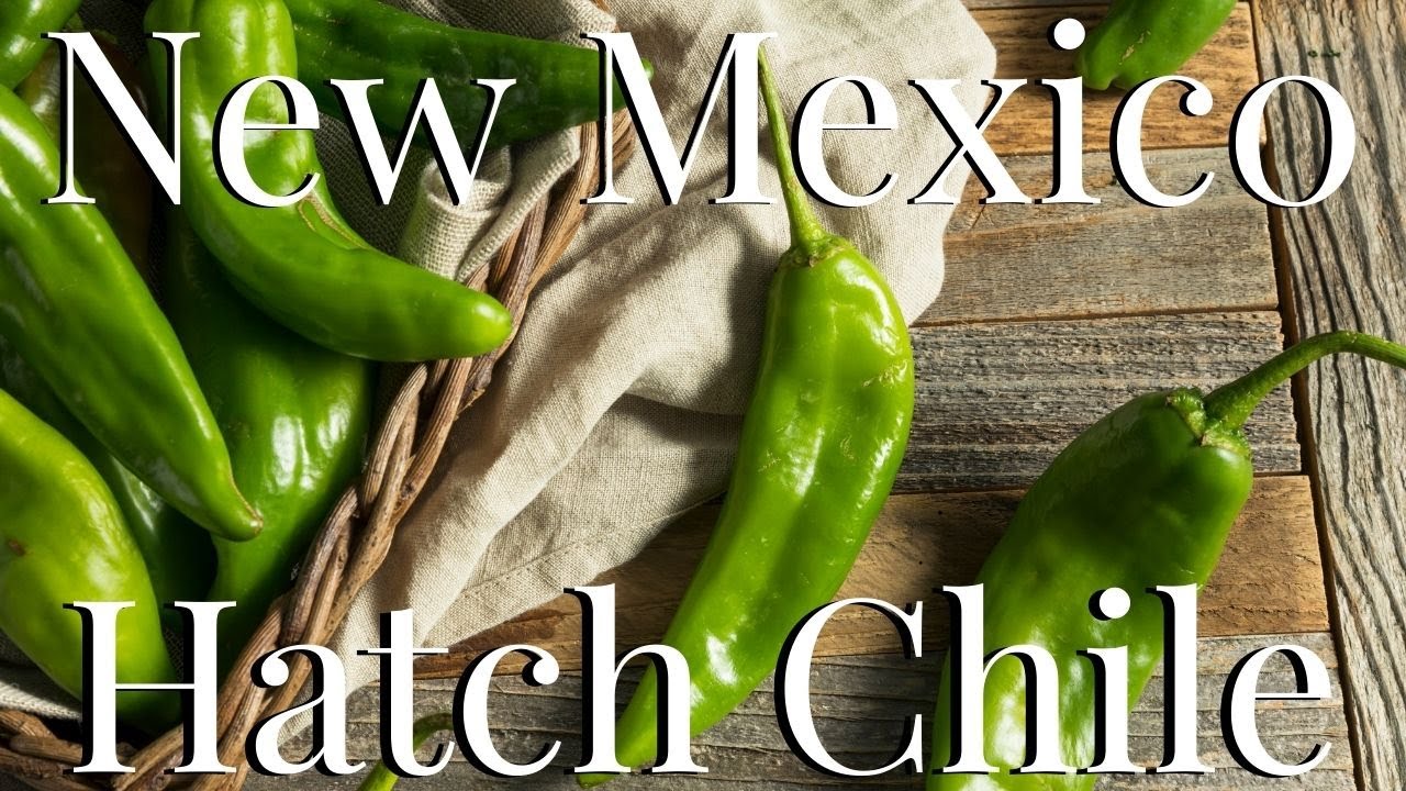 Planting New Mexico Hatch Chiles + Growing Tips