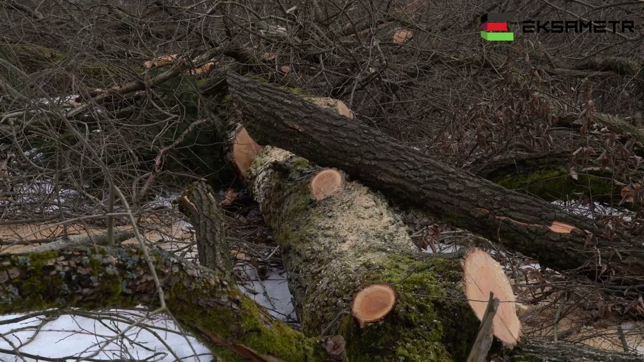 Obwodnica Sanoka - 06.02.2026