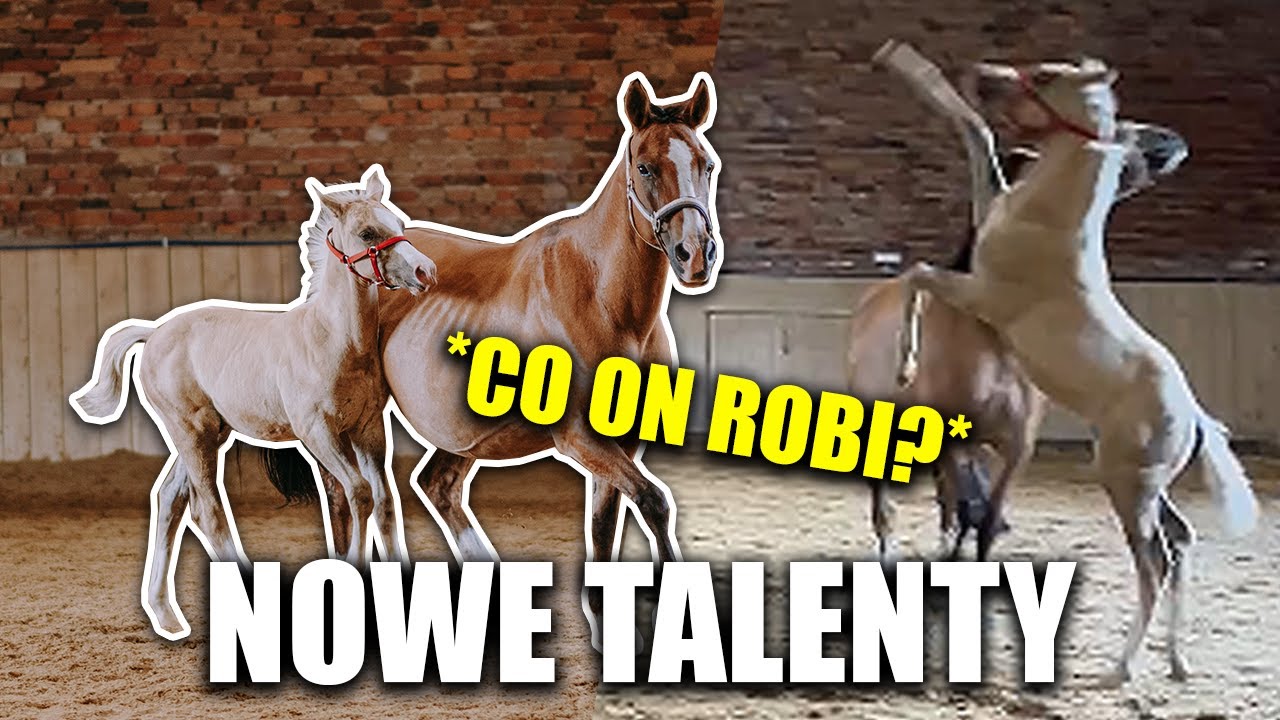 NOWE UMIEJĘTNOŚCI ŹREBAKA 😱 - JAK ZAWSZE ZASKAKUJE