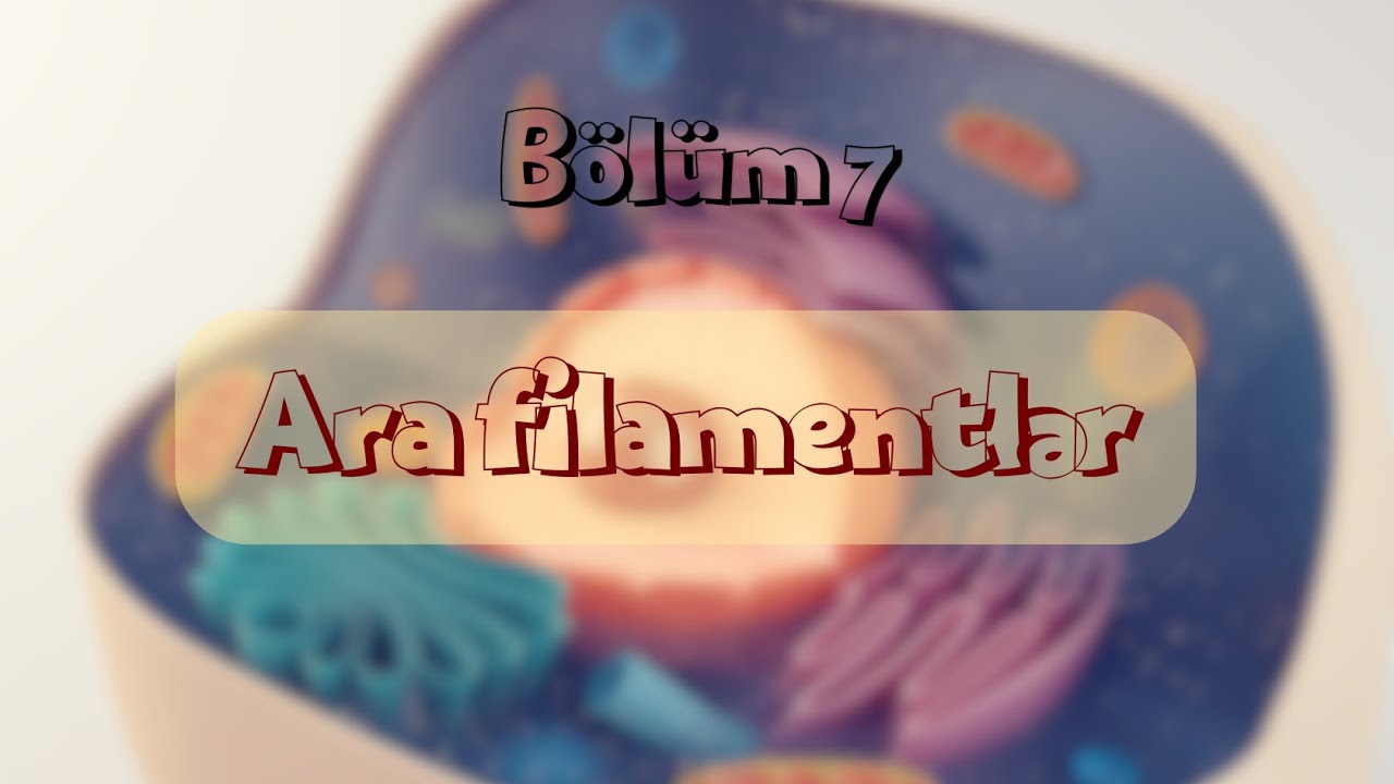 Hüceyrə Fiziologiyası: Hüceyrə Skeleti; Pt.2 - Ara Filamentlər (7)