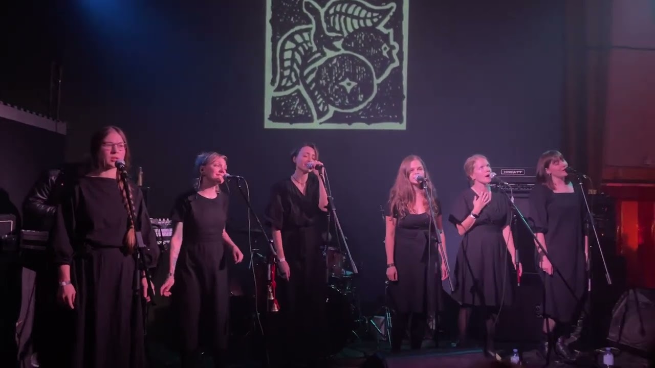ЧЕРНОПЛОДЬ live @ Ohm Rite V, Ласточка, Санкт-Петербург, 25.09.2022 a.b.