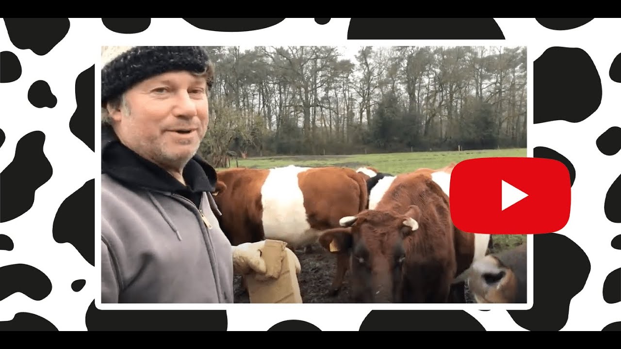 De boerderij van boer Jelle | Koeien van Jelle 1/18