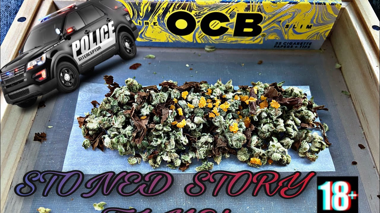 CRAZY COPS PULL ME OVER STORY TIME | SUPERCHARGED FRONTO JOINT 🔥