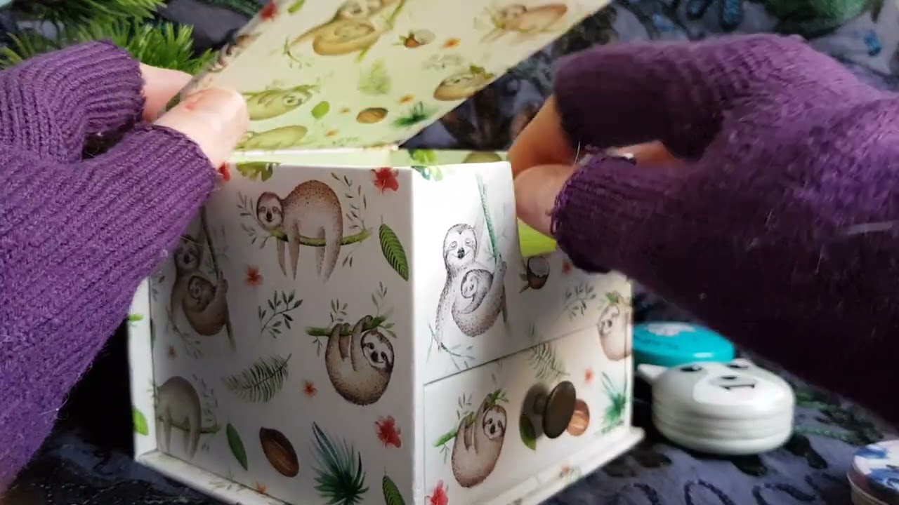 ASMR Sloth trinket box