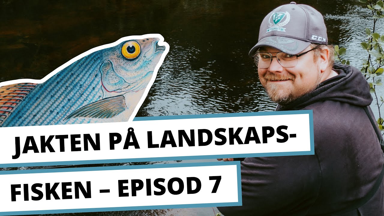 Jakten på landskapsfisken Episod 7 – Harrfiske i Härjedalen