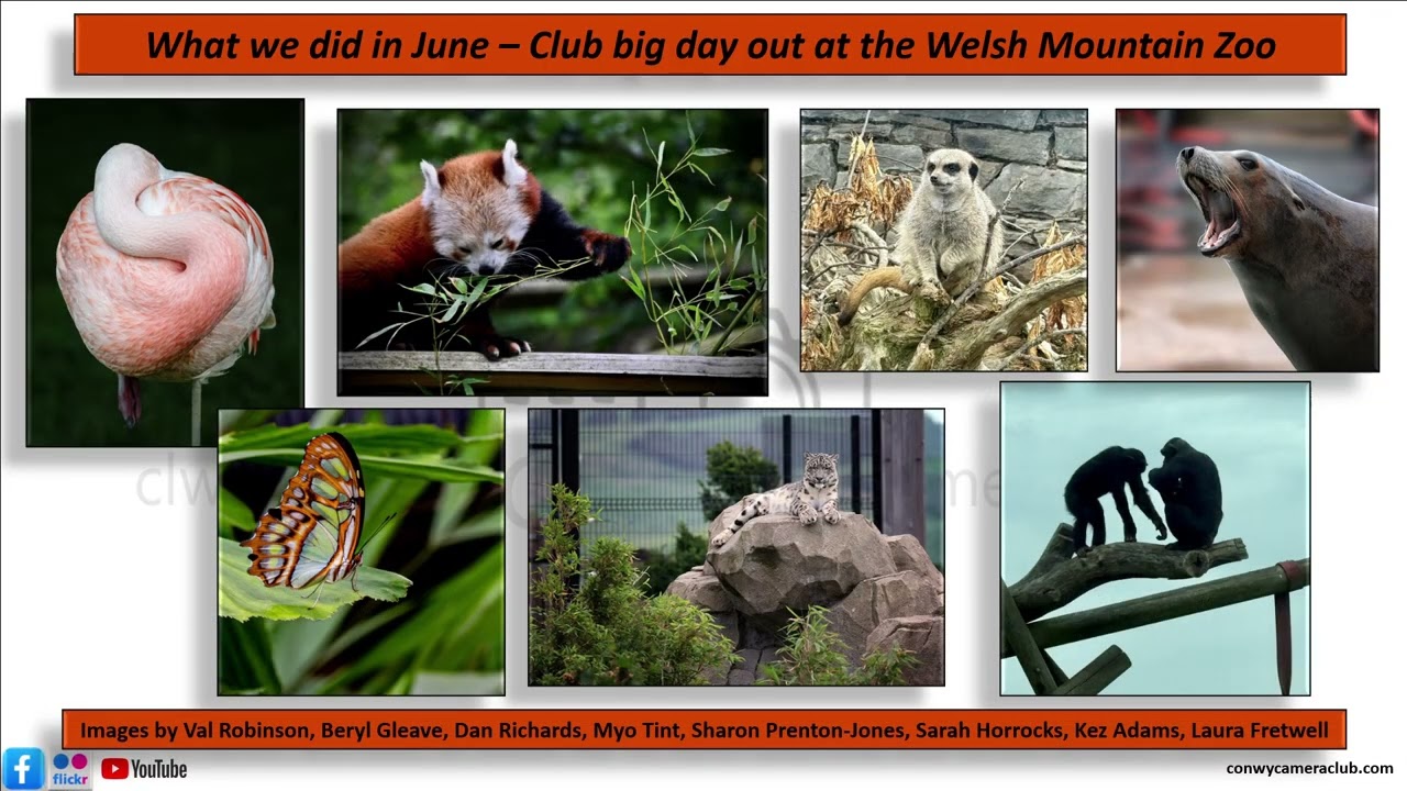 Conwy Camera Club High Street Display July 2025. Images by Club members.
