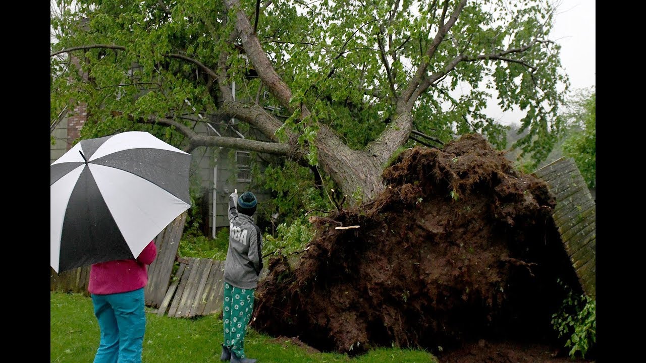 Thunderstorms Move Through Northern CT