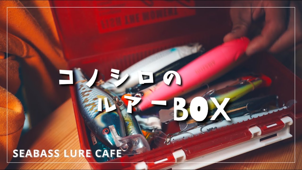 【コノシロパターン】晩秋のシーバスゲーム、ルアーBOXの中身お見せしちゃう！【恥ずかしい！！】