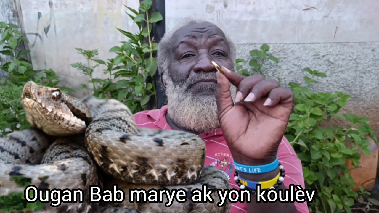 Bab siyen kontra maryaj ak dyab. Li paka gen madanm ak pitit.