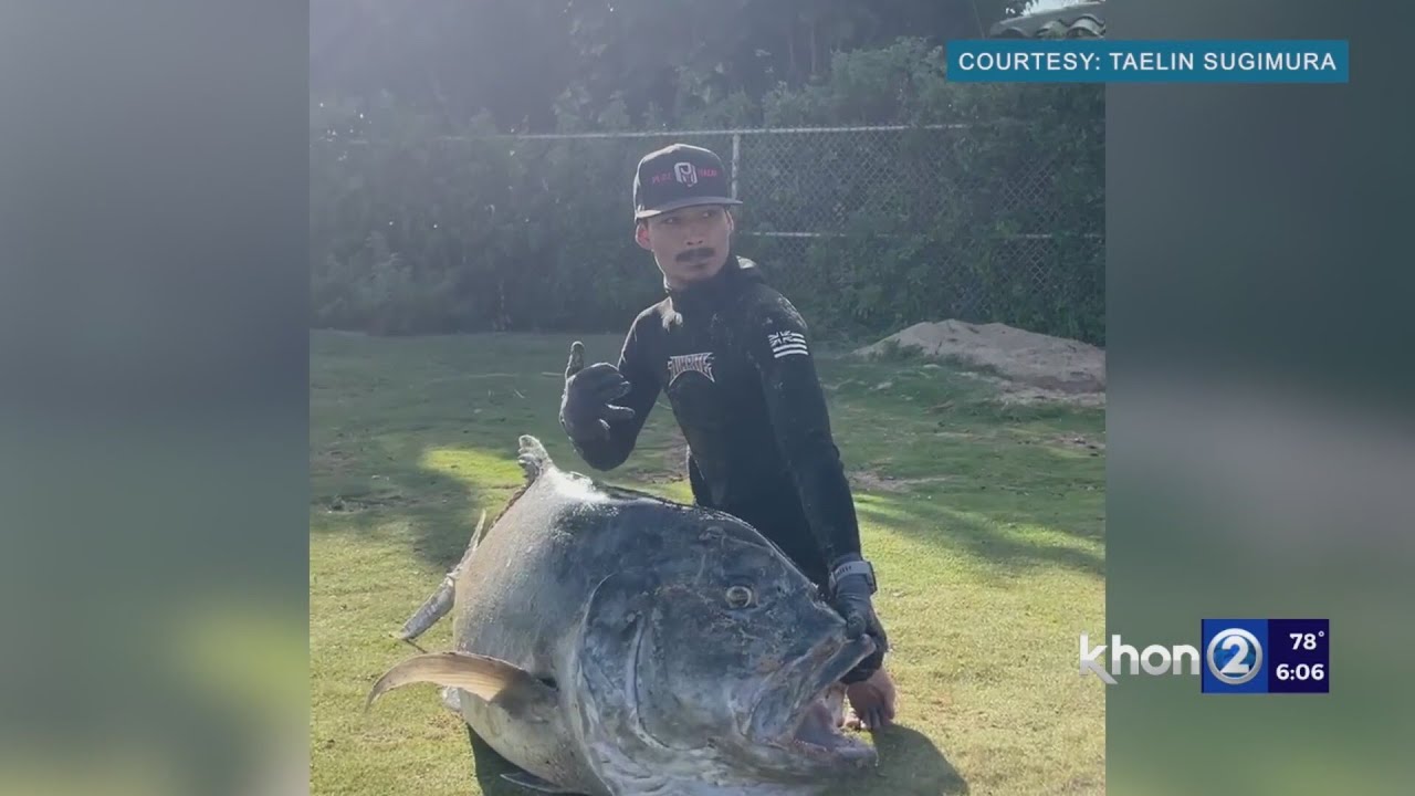 Kauai spearfisher lands 130-plus pound fish, almost dragged to the depths