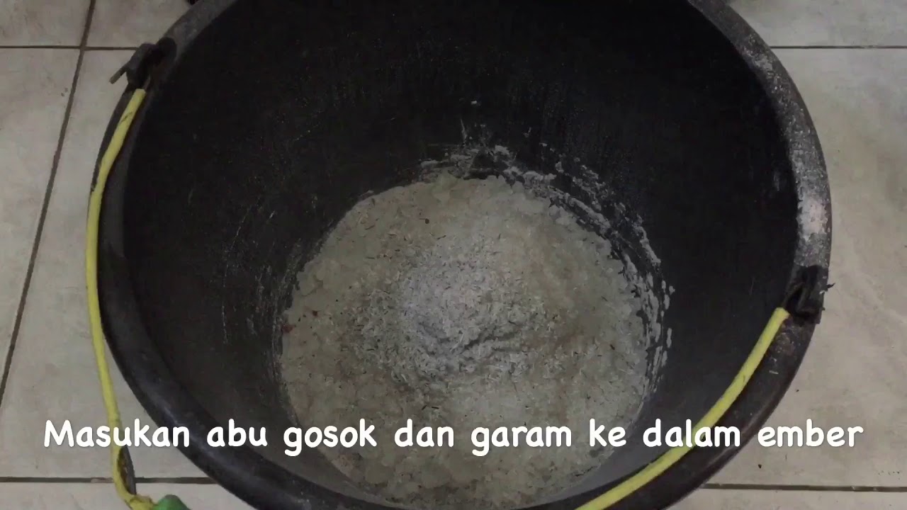 TUTORIAL MEMBUAT TELUR ASIN MUDAH MENGGUNAKAN ABU GOSOK + GARAM