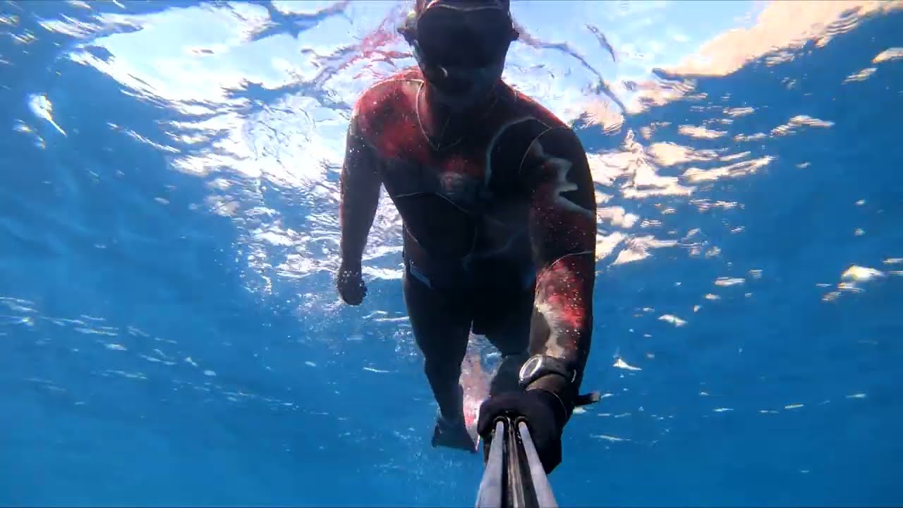 PESCA A LA ESPERA pesca submarina SPEARFISHING GRUPER1007