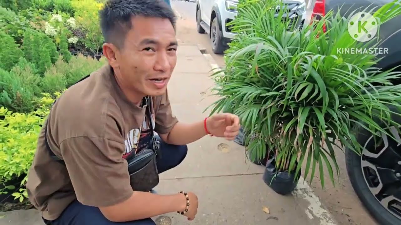 เตรียมของฝาก ขื้นเชโปน