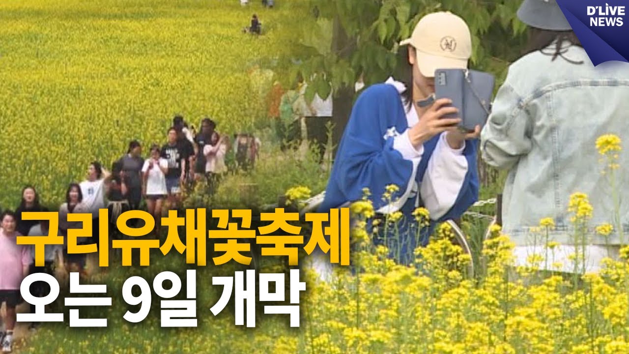구리유채꽃축제 오는 9일 개막 [구리] 딜라이브 뉴스