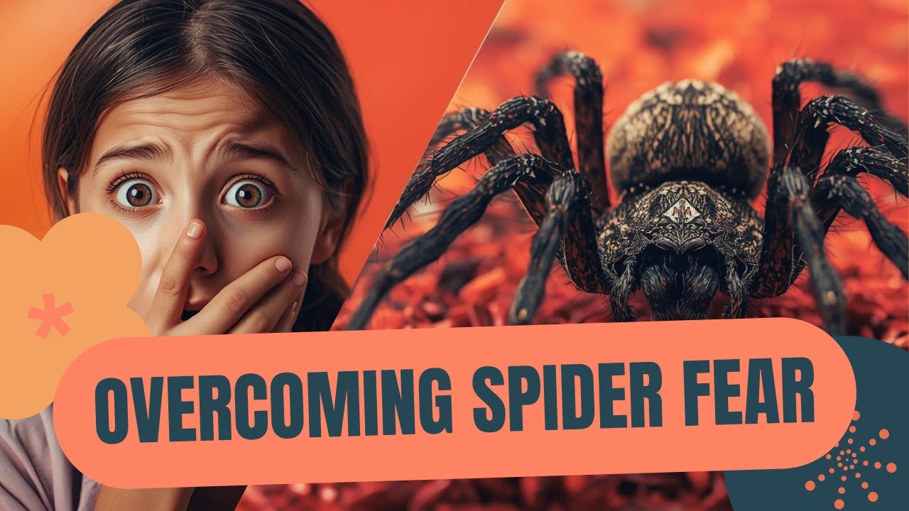 How to get rid of fear of spiders? Fear of Spiders? A Calm Reset for Arachnophobia