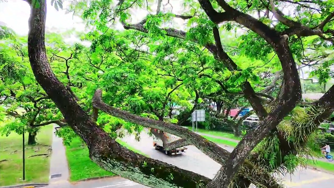 Drone at pandan reservoir 