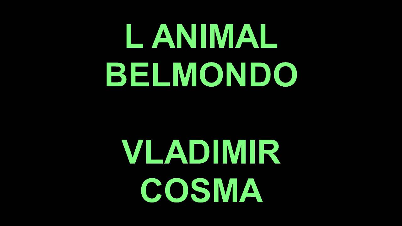 L ANIMAL 1977 BELMONDO - VLADIMIR COSMA
