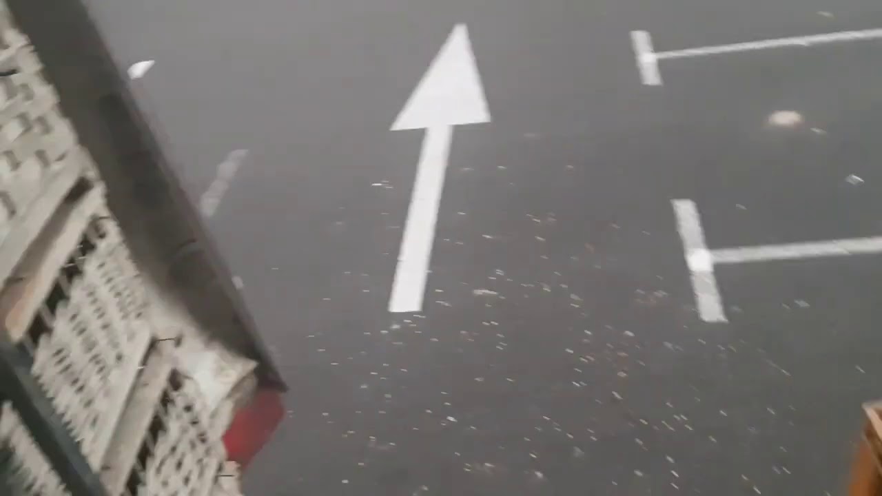 SUIVEZ MOI AU COEUR D'UN CONCOURS, découvrez le travail d'un convoyeur de pigeons voyageurs