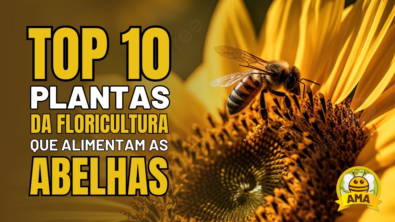 10 MELHORES Plantas de FLORICULTURA que alimentam as ABELHAS 🌻🐝