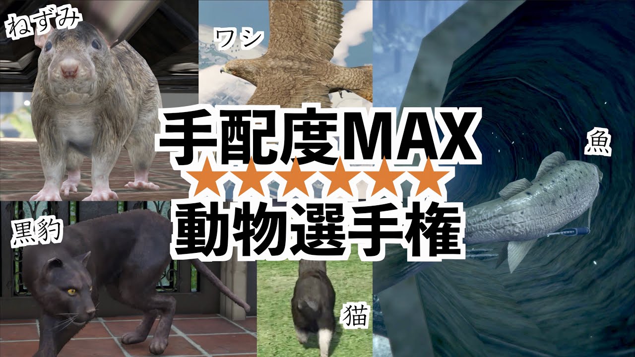 【手配度MAXの時に警察から逃げやすい動物選手権！！！】GTA5動物MOD実況