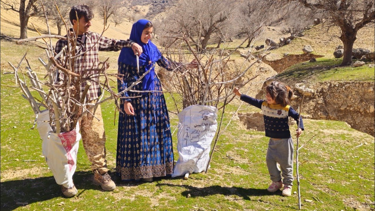 Planting for Tomorrow! 🌱 Kamal and Halimeh Bring New Life to the Mountain Farm 🏔️✨