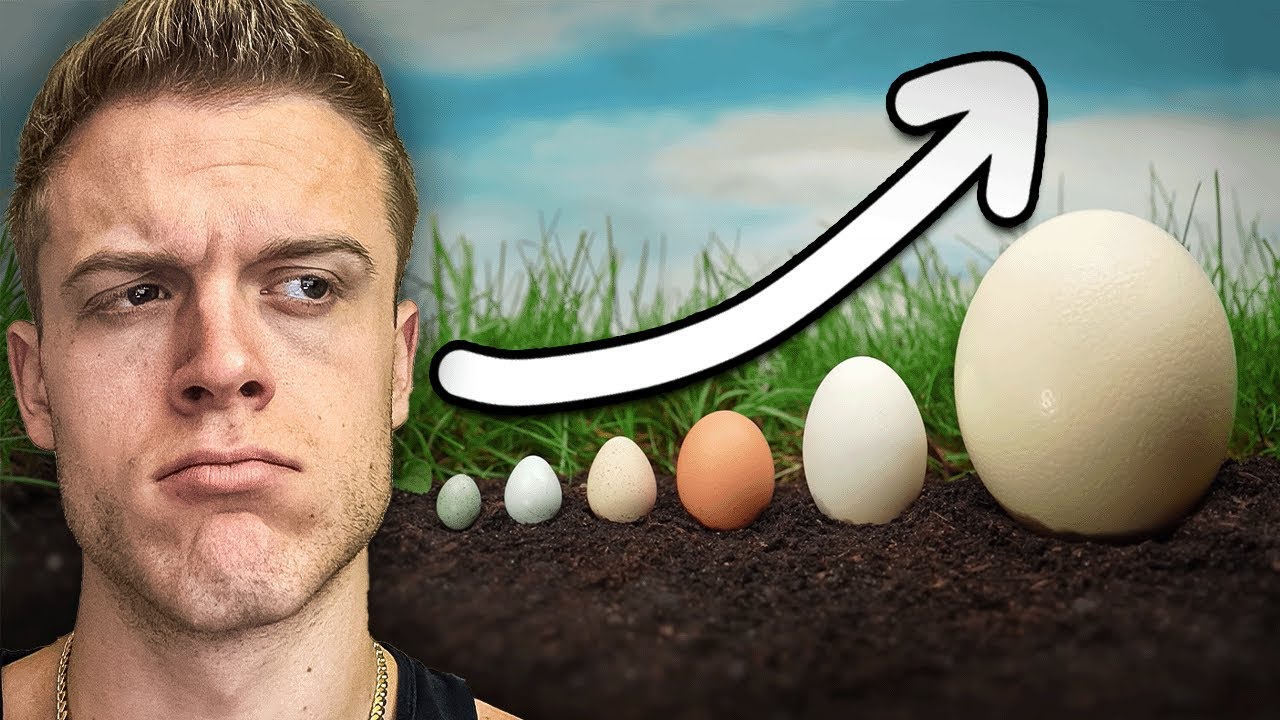 The Biggest And Smallest Eggs In The World