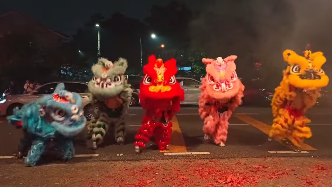 Lion & Dragon Dance, a vibrant performance bursting with rhythm, color, and powerful cultural energy