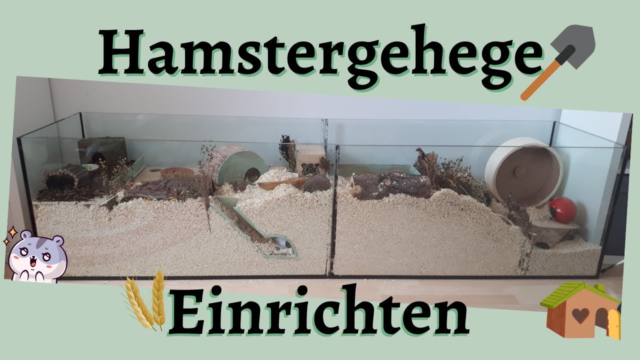Hamstergehege einrichten | 1qm Gehegeverbund für Zwerghamster♥🐹