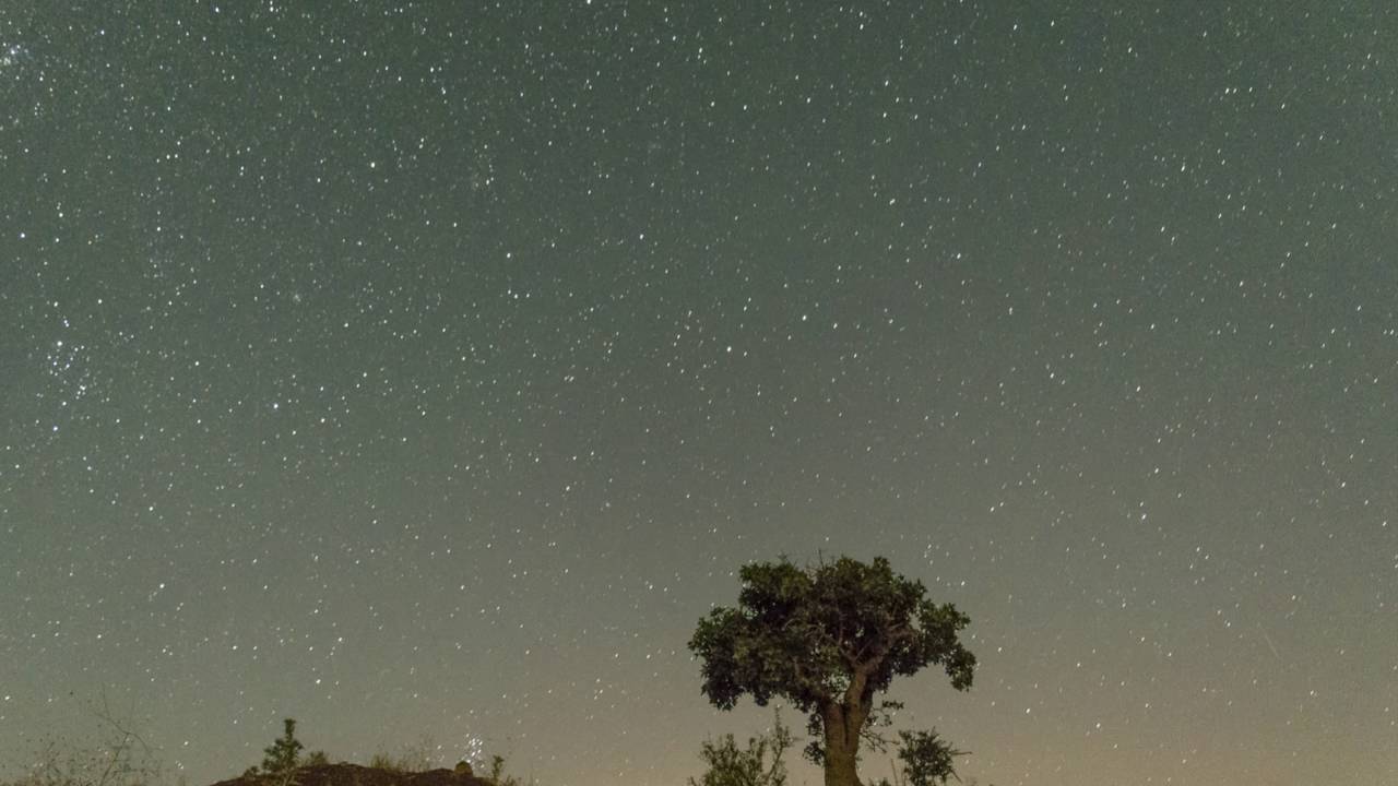 Summer night near the skies