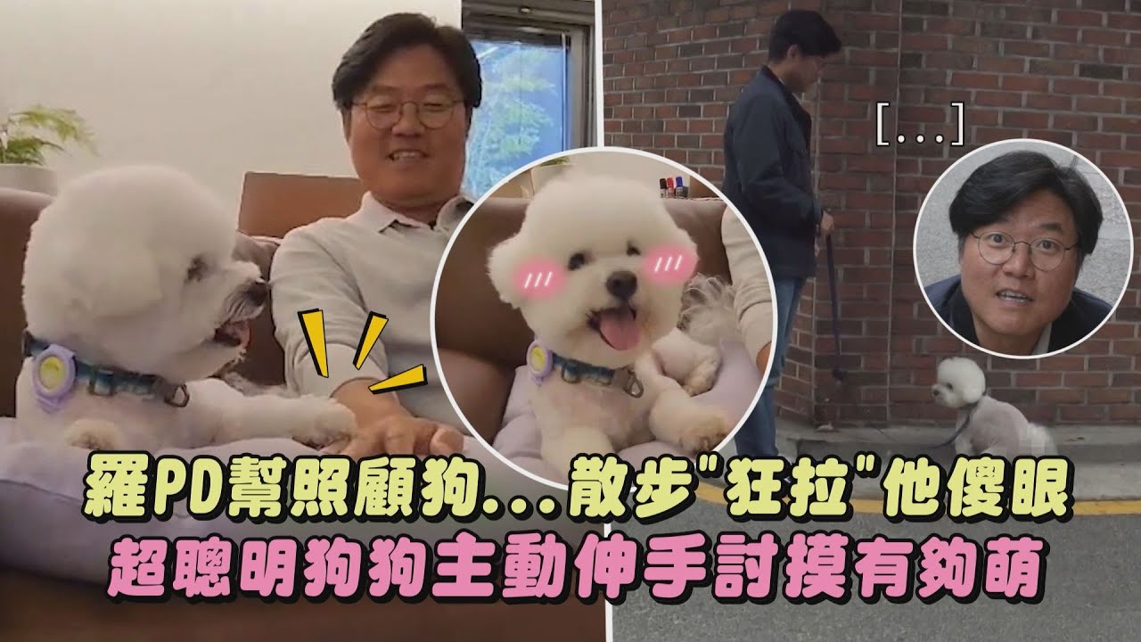 【超口愛😍】羅PD幫照顧狗...散步