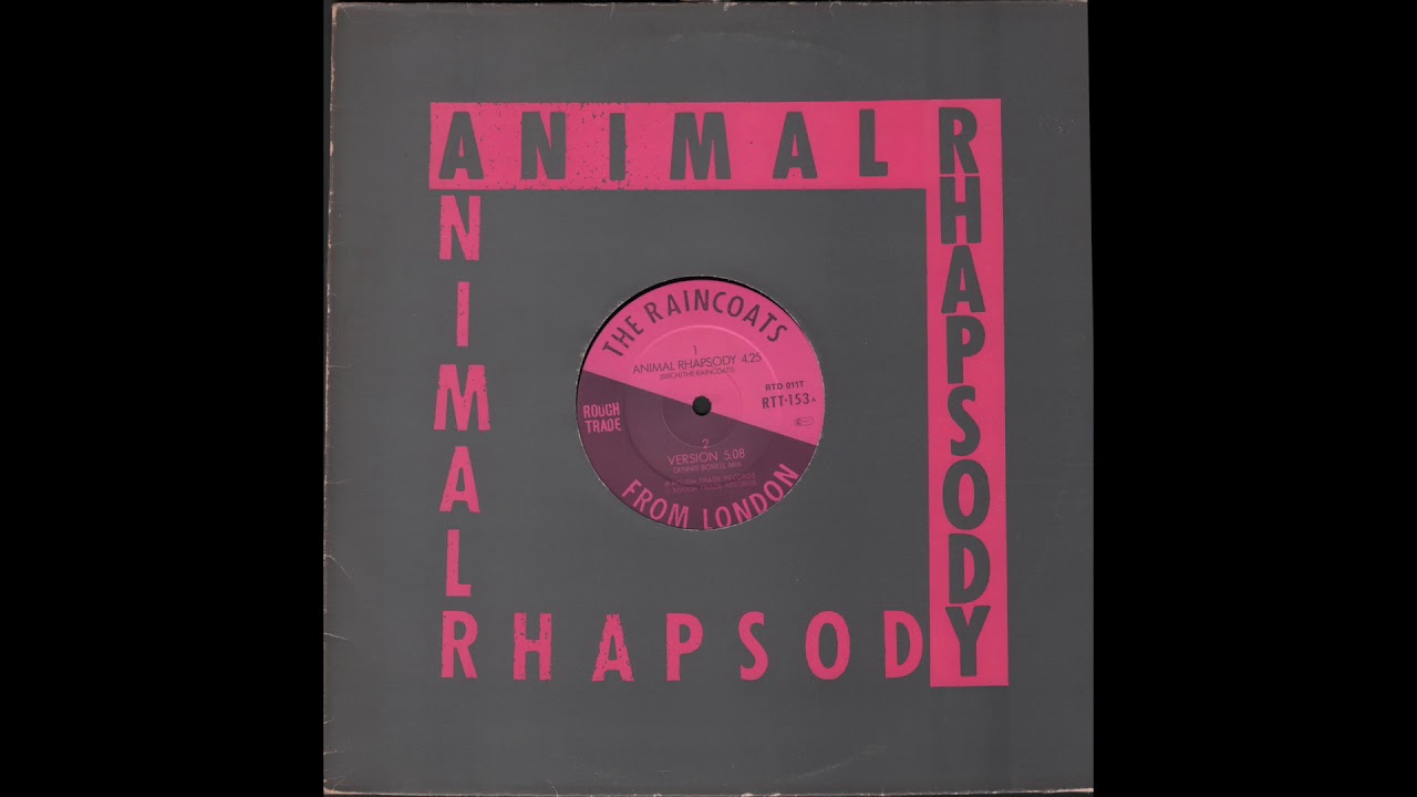 The Raincoats - Animal Rhapsody (1983) full 12” 45 RPM