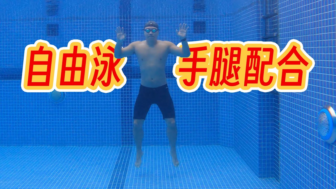 【游泳讲解】自由泳手腿配合的原理，手腿配合到底是怎么出现的？