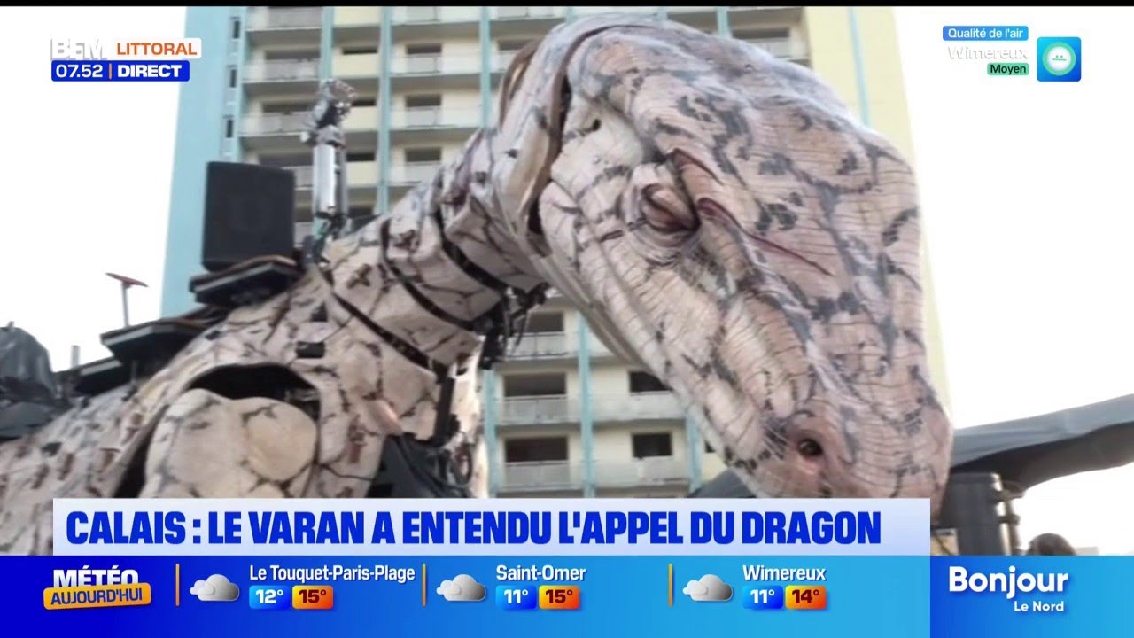 Le Varan se r&eacute;veille dans le quartier du Beau-Marais &agrave; Calais et rejoint le dragon
