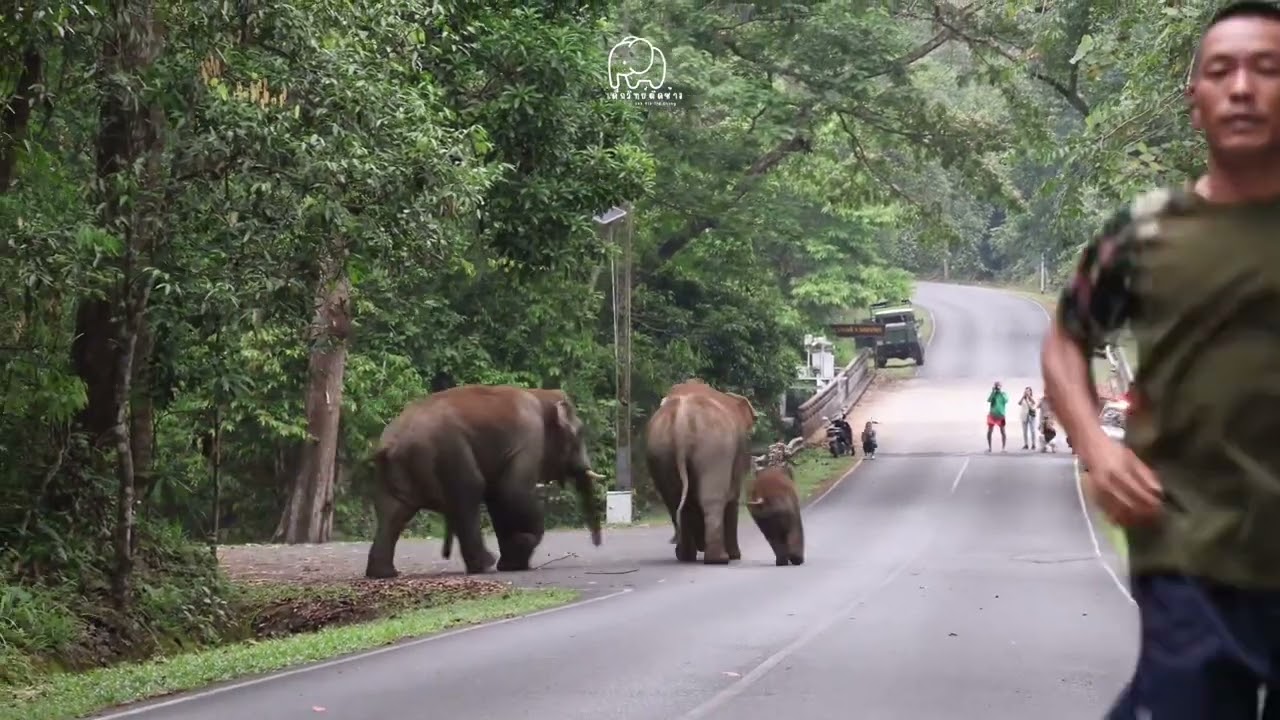 คลิปยาวโขลง ตรอ. หนีพลายโวยวาย!!