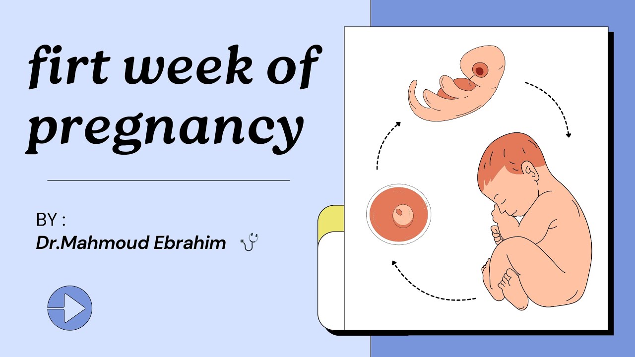 حل 30 سؤال على embryology | first week