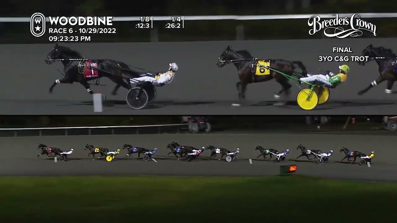 2022 Breeders Crown - 3YO Colt Trot Final