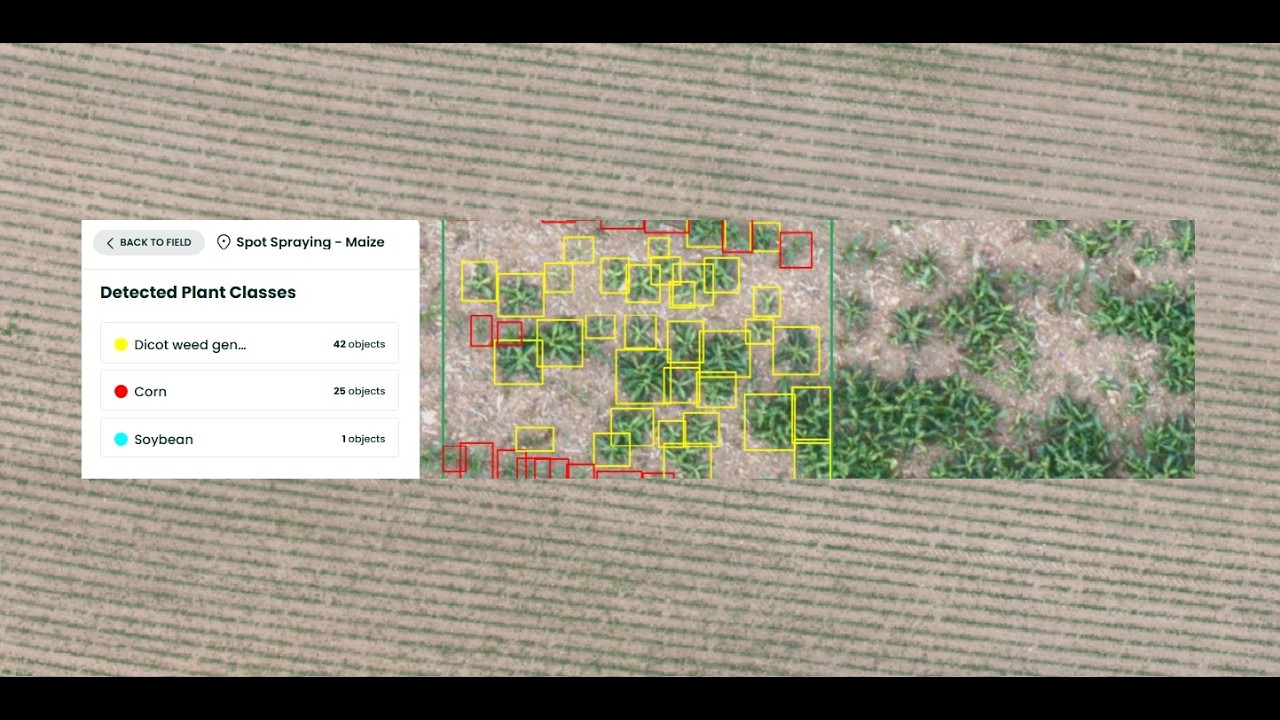 Plant Detection