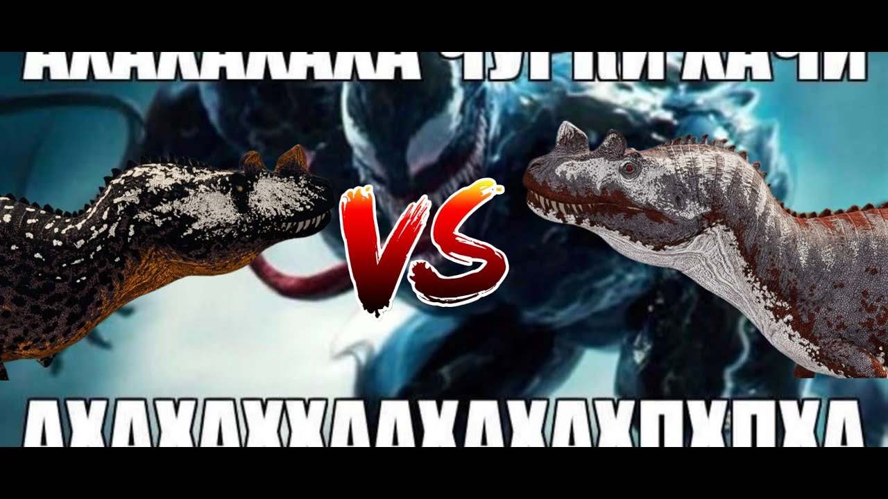 AMBIBI vs KOCые