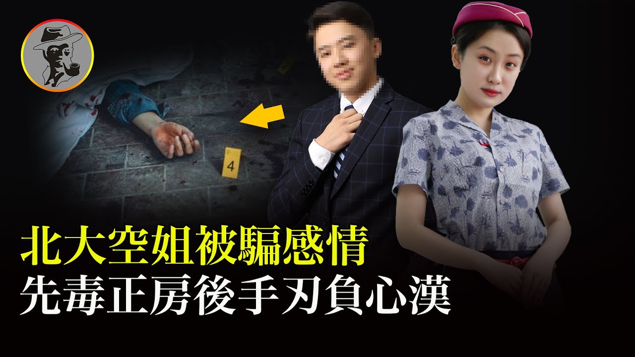 北大最美空姐楊暘殺人案，懷春少女被欺騙感情懷孕後遭拋棄，為報仇她先給正妻下毒，爾後怒砍男人18刀......【真實案件】