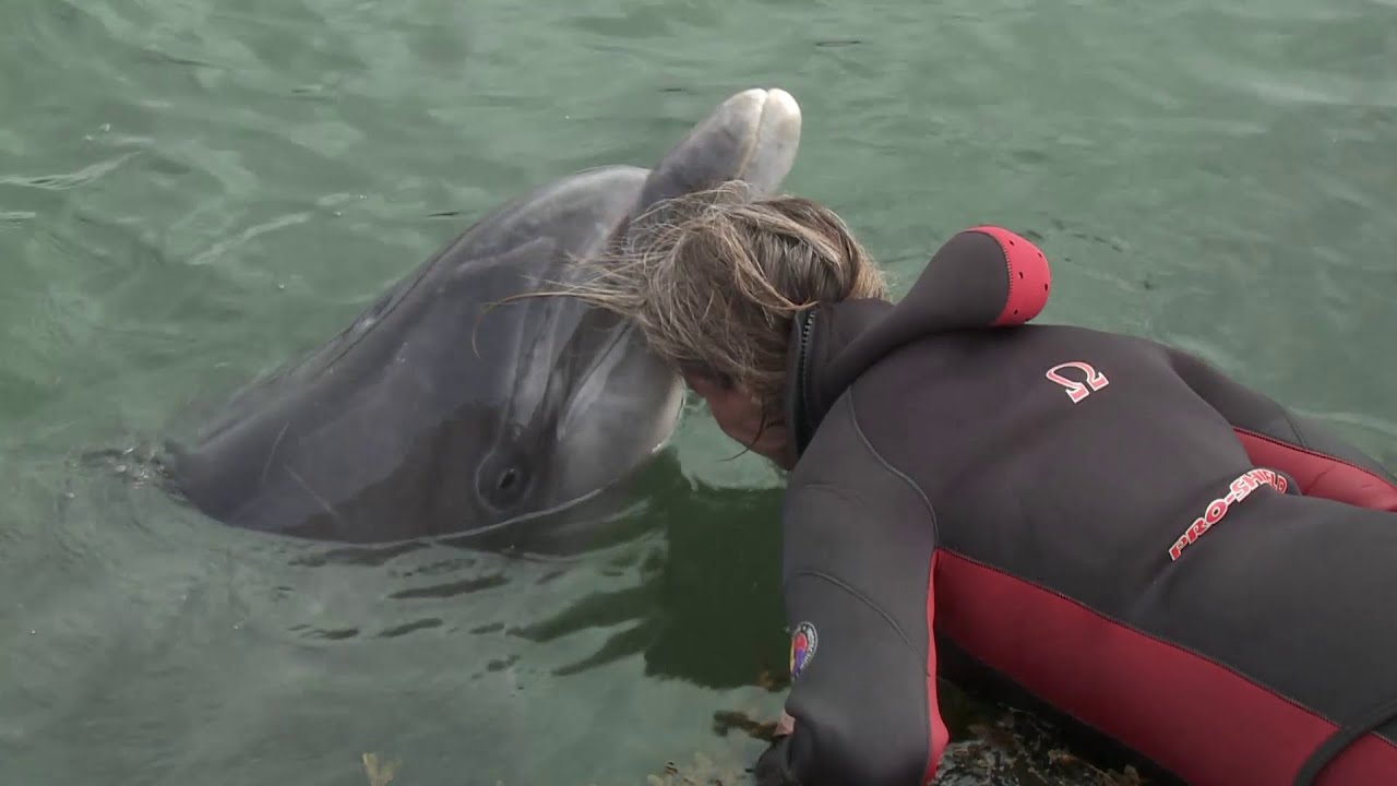 Frédérique Pichard et les dauphins