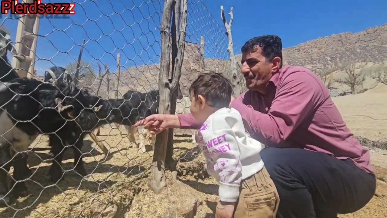 ۱۶ فوریهٔ ۲۰۲۶