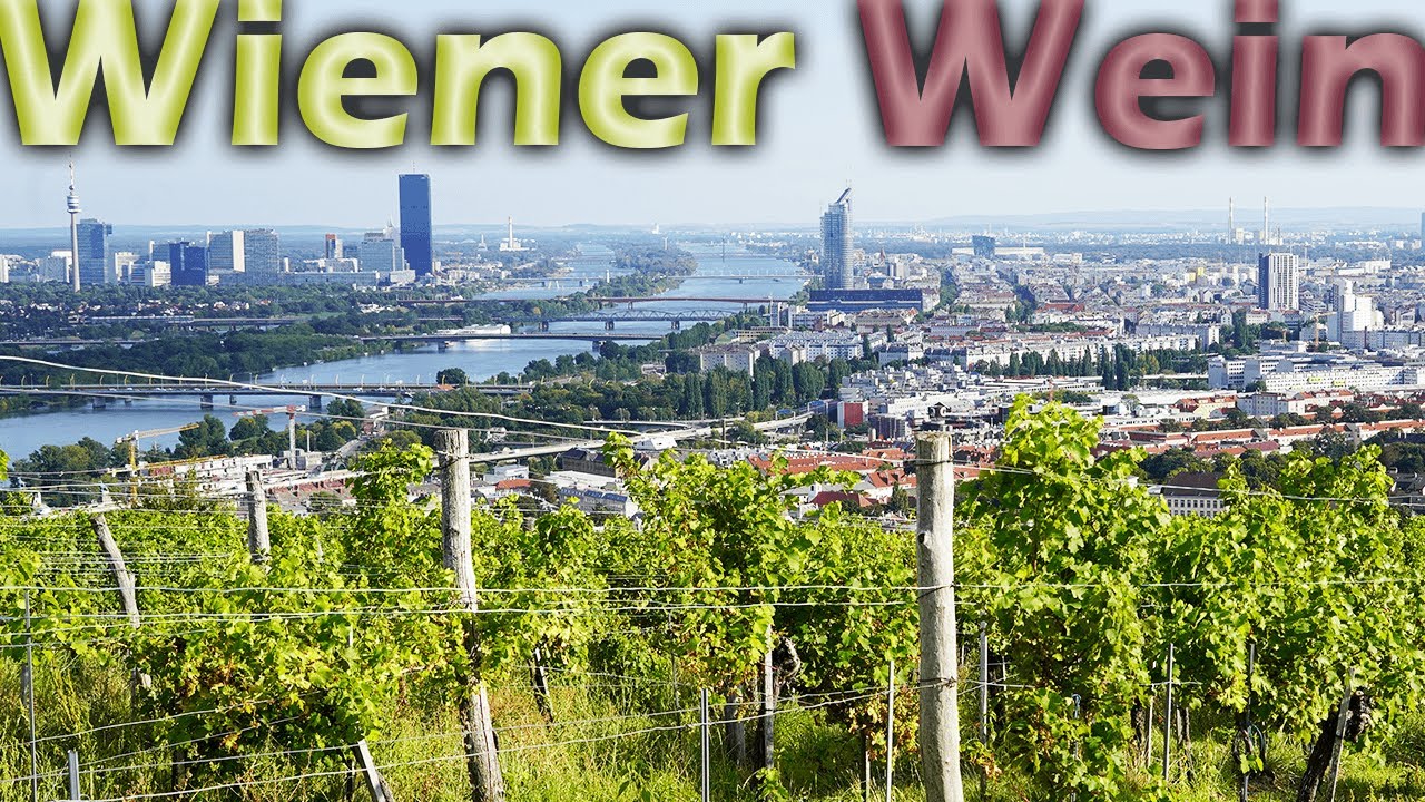 Wien und ihre Weinbau- & Heurigenkultur - Eine untrennbare Beziehung!