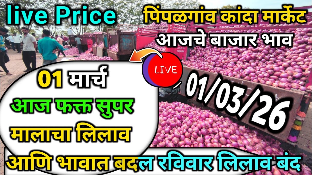 Pimpalgaon Onion Market Price Today:Latest Rates And Insights 01 march 2025