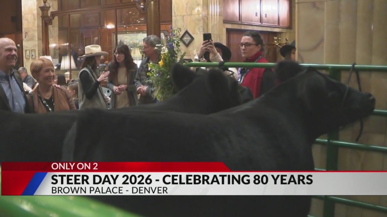 Steer Day 2026