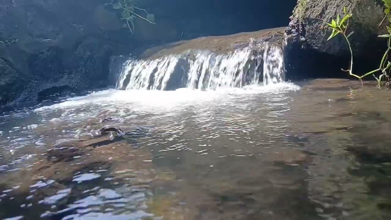 Serene Flowing Water Ambience for Meditation & Sleep