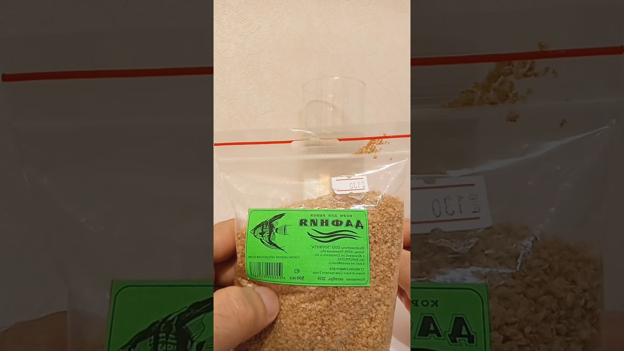 Появление из сухой дафнии живой