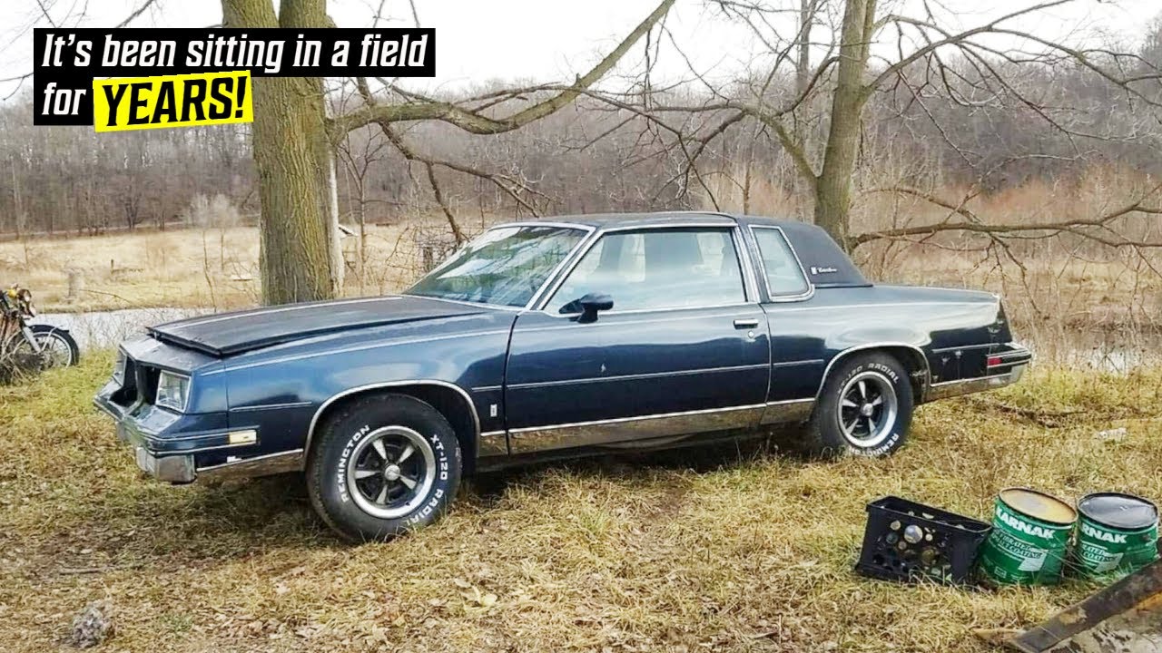Cleaning an '86 Cutlass That's Been Sitting In A Field for YEARS!