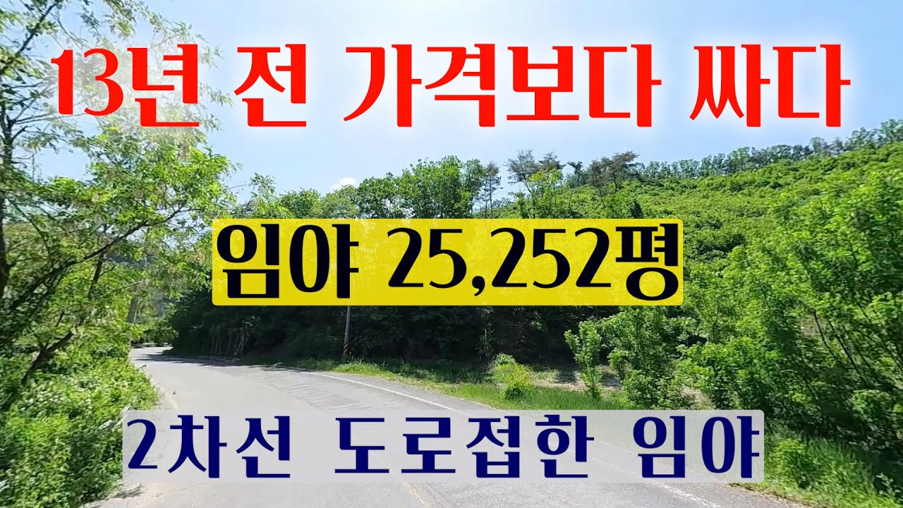 [1499] 2차선 도로가 접하고 있고 13년 전 매입가 보다 싸게 내 놓은 임야매매